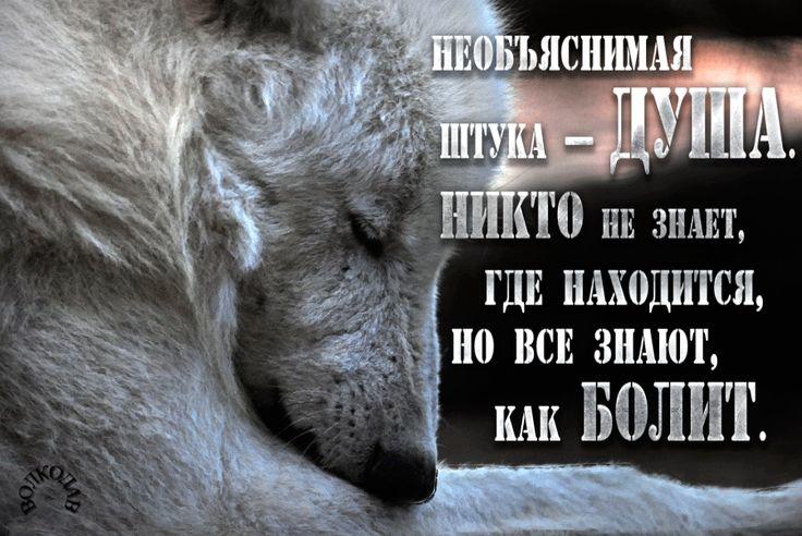 Как сделать копию с предмета Как сделать копию с предмета