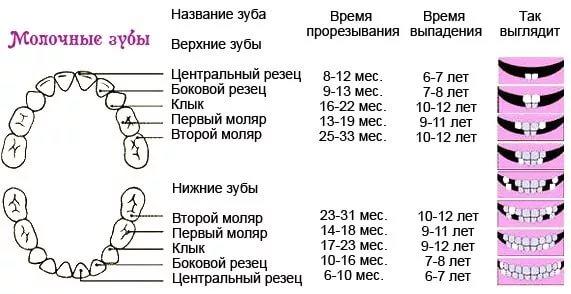 Может ли быть температура после прорезывания зуба Может ли быть температура после прорезывания зуба