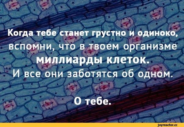 Открыта с грустные Открыта с грустные
