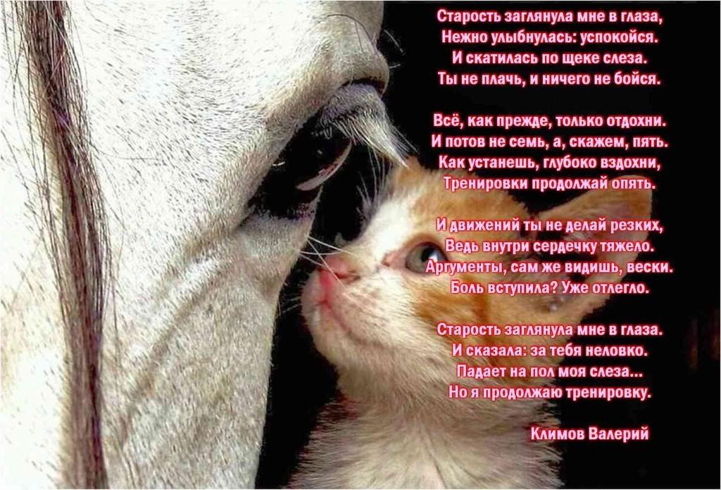 Катятся слезы стих Катятся слезы стих