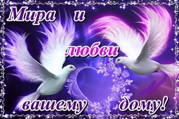 Идеи оригинальных подарков на день рождения Дю Евгений Викторович. Перезагрузка Жизни