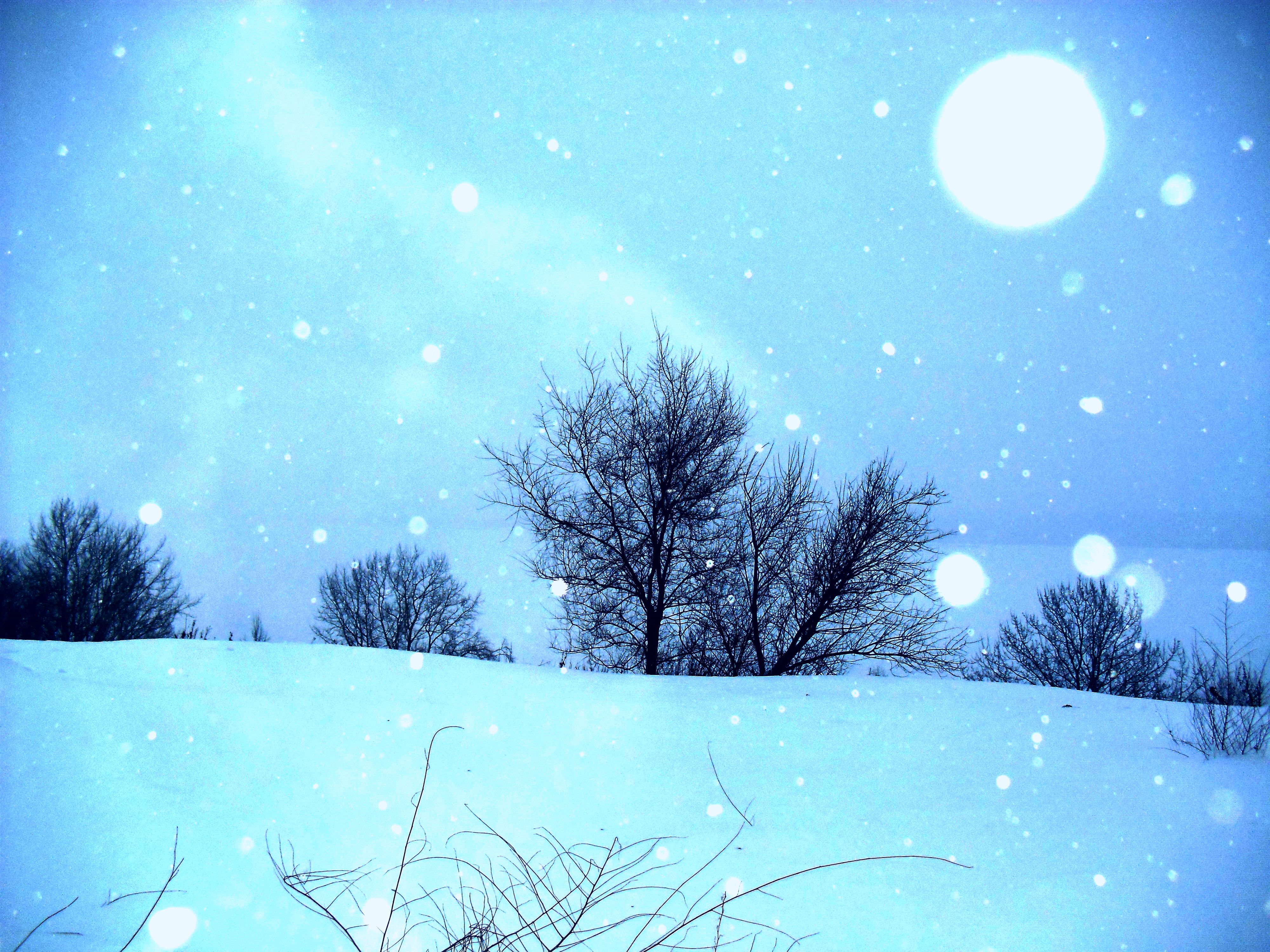 Белый снег слепит глаза. Снег серебрится. Зимний вечер. Снег серебрится на солнце. Снег искрится серебрится.