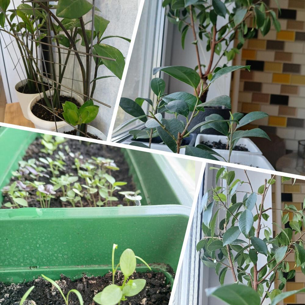 В школу 25 сентября. Биология