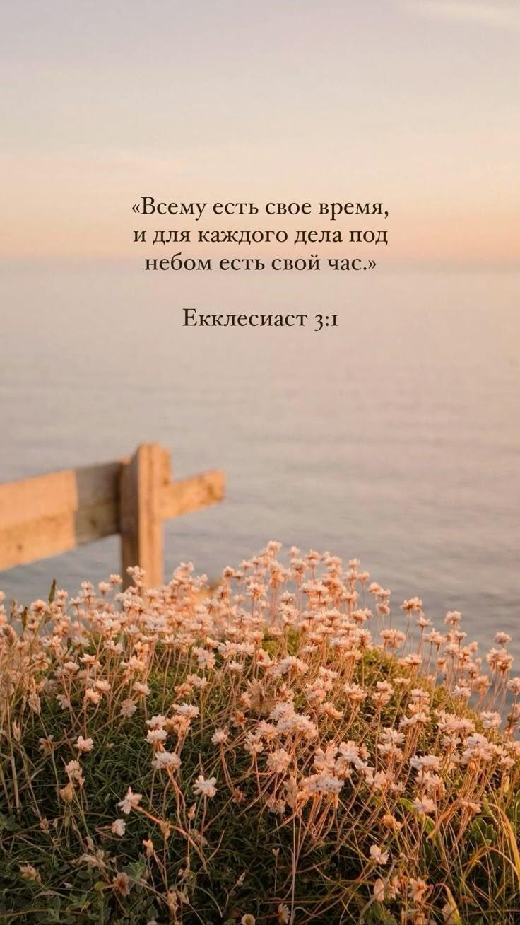 Благодарность