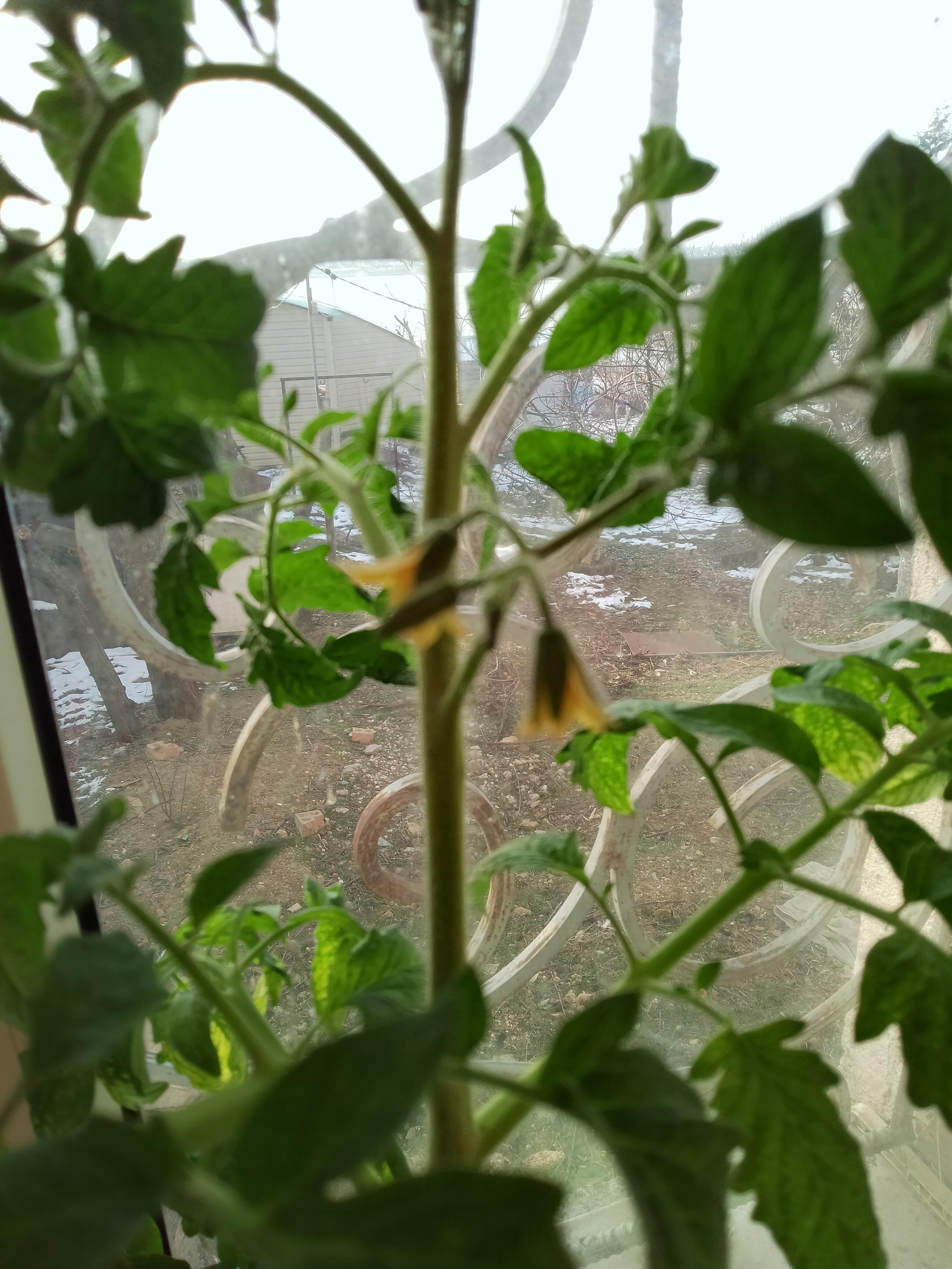 Кто сказал?