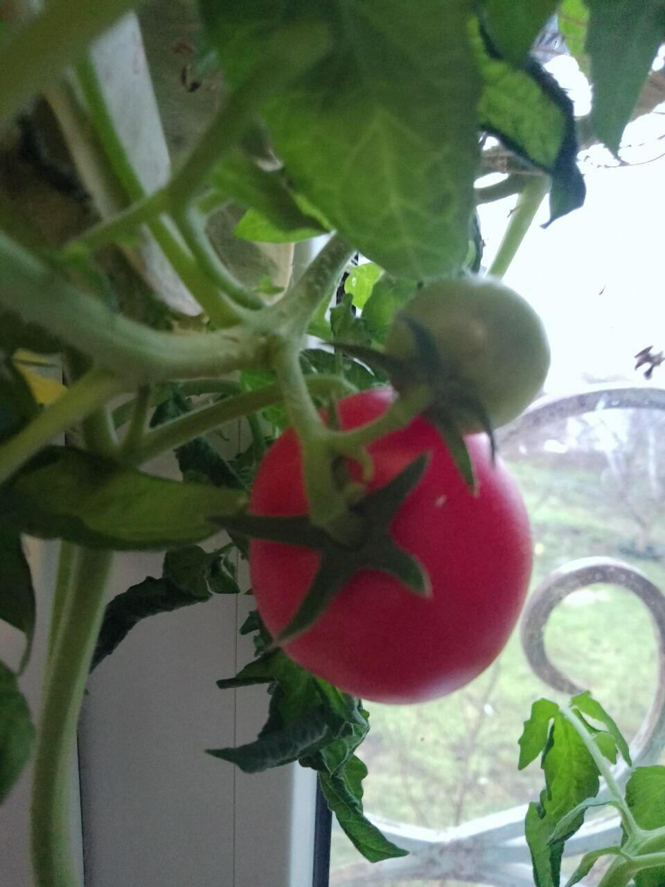 #скоро дачный сезон