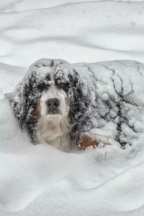 Прошу помощи