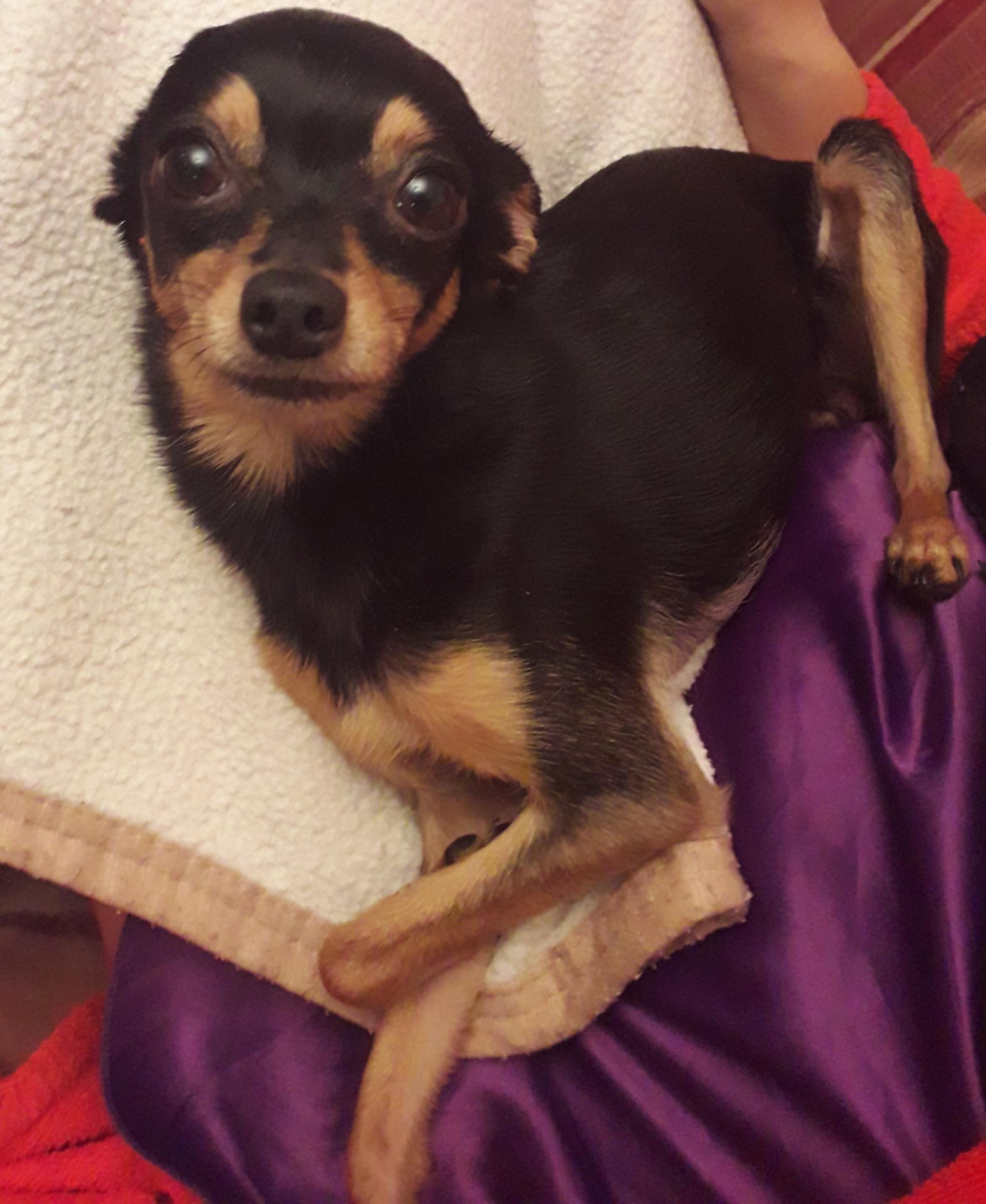 Из обеспеченной семьи