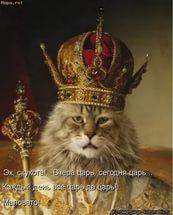 НЕРАВНОДУШНОМУ ПОКЛОННИКУ.