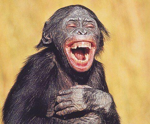 АНЕКДОТЫ И ПОЭЗИЯ