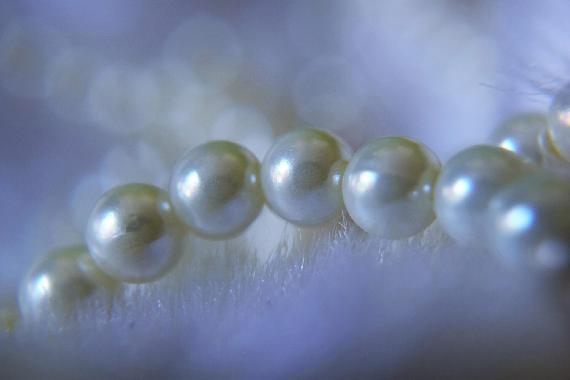 Из пословицы ожерельице