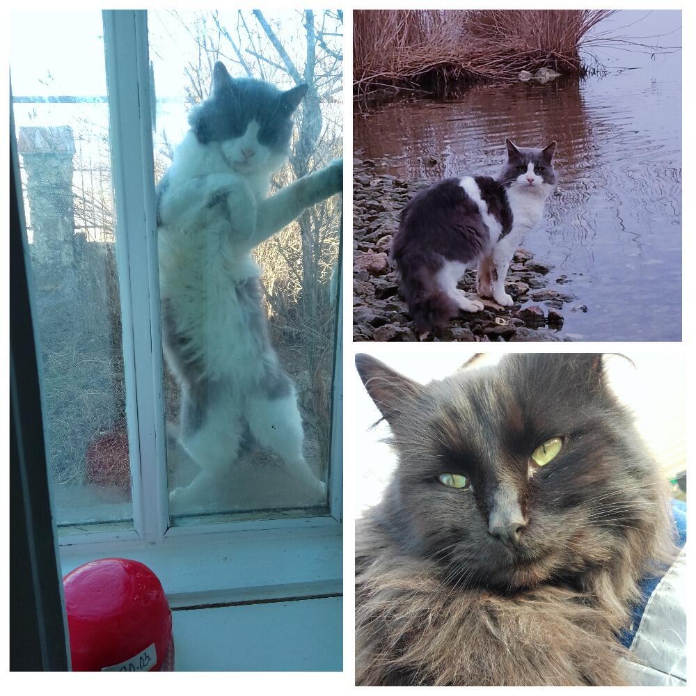 #ПОСТИМКОТИКОФ