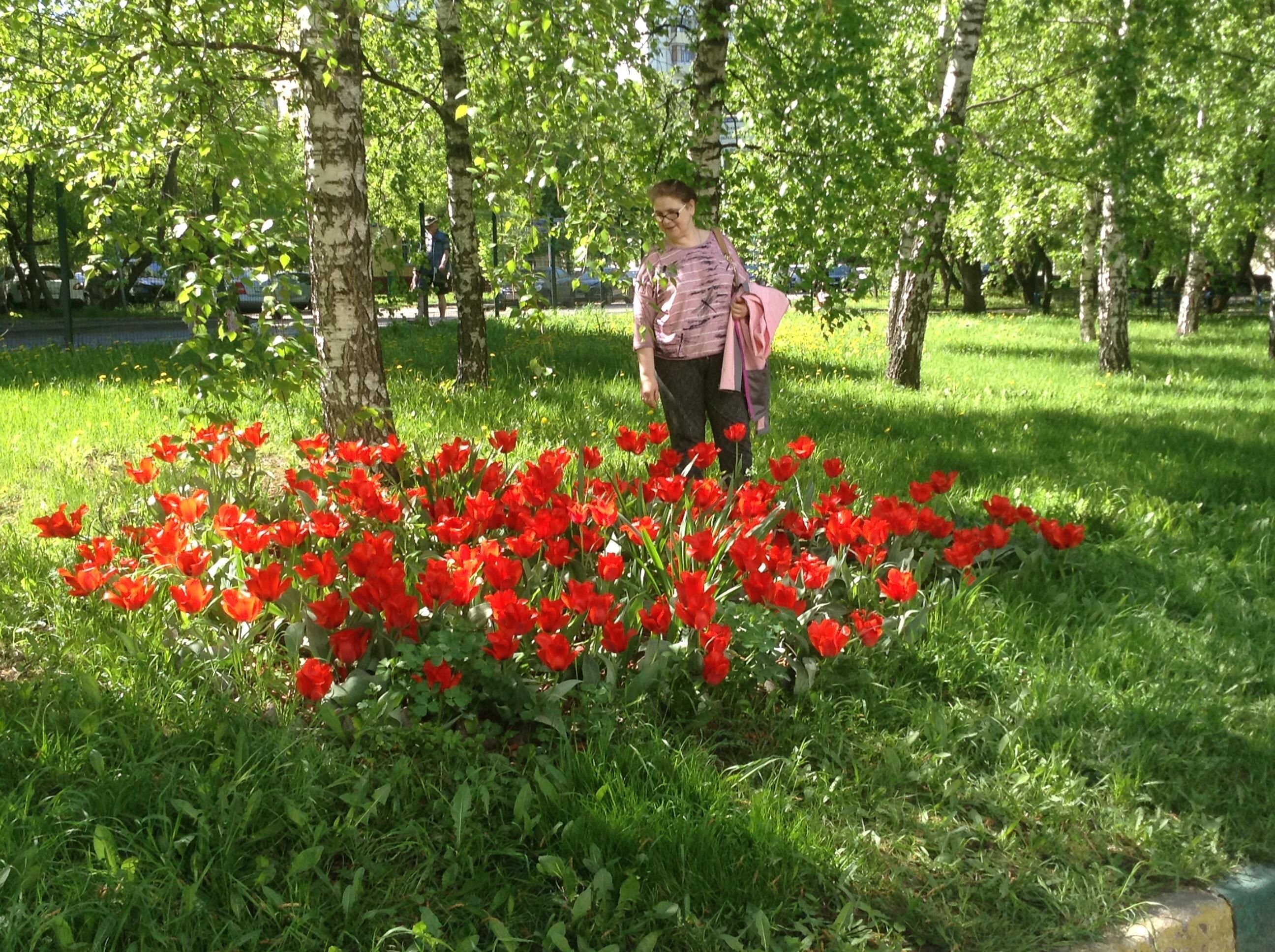 #МОЯ_ВЕСНА