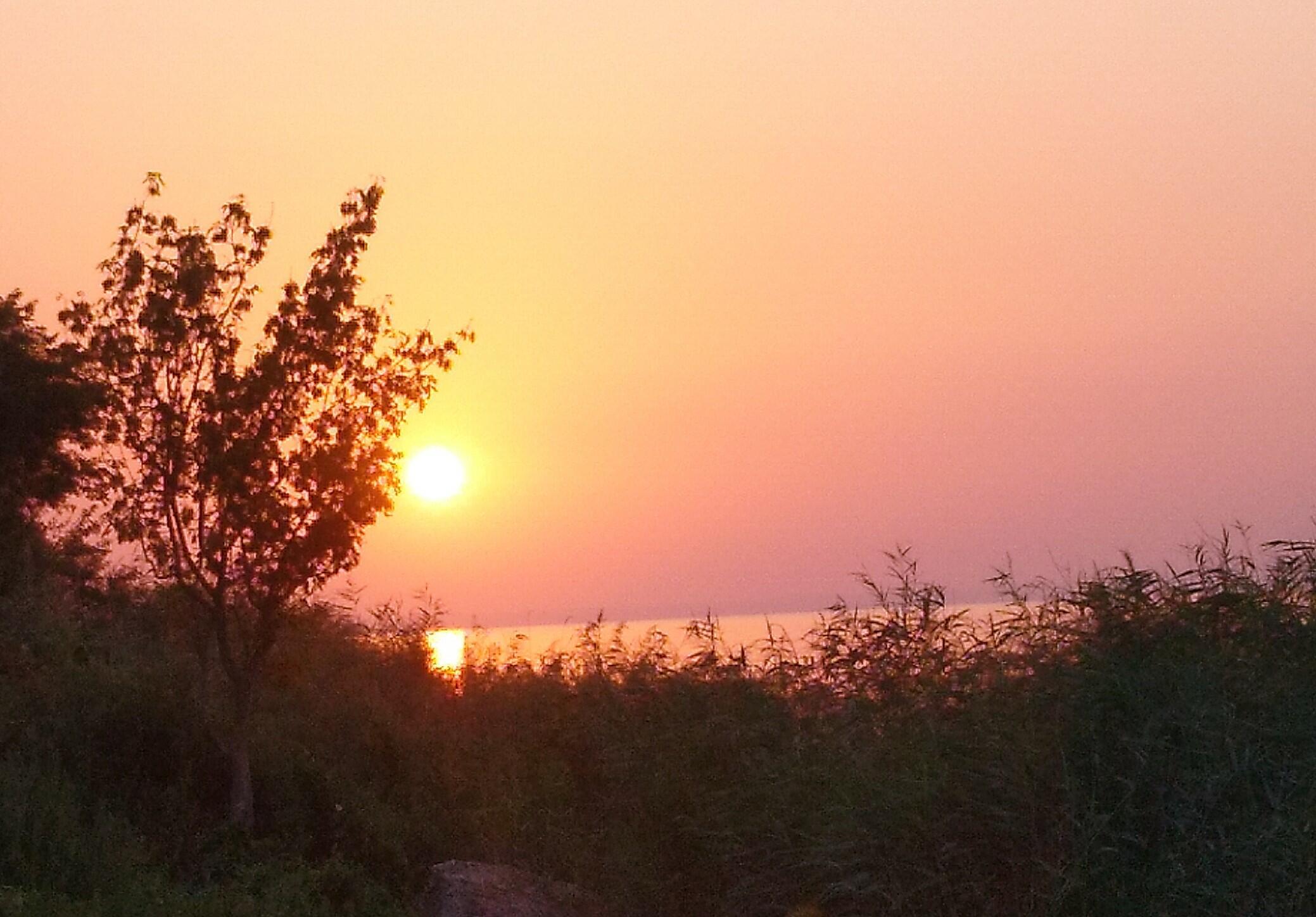 Полутонное