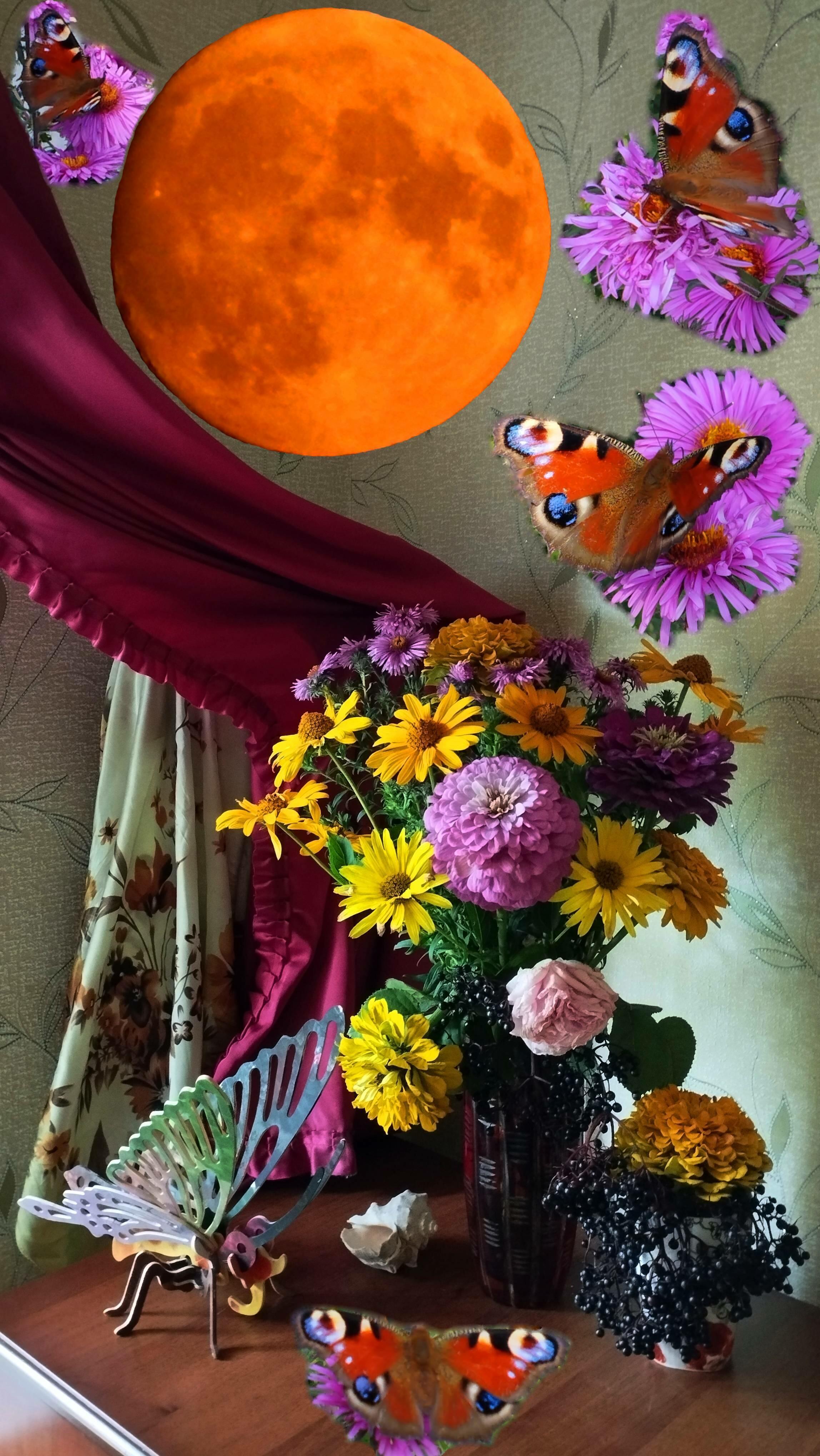 сегодняшняя луна