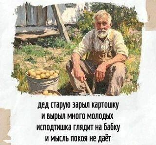 Бабки да дедки