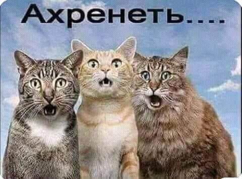 Международный конфликт