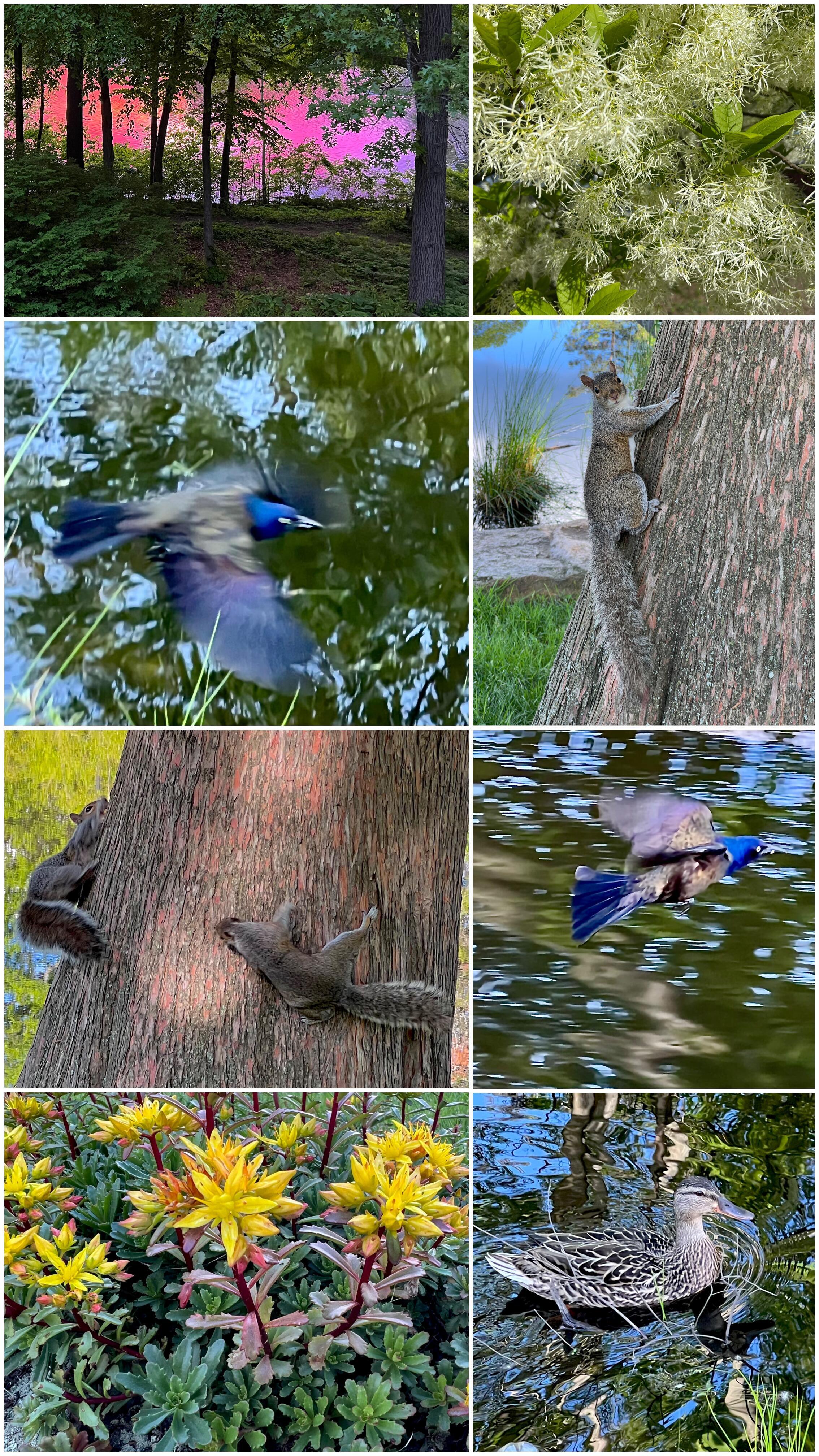 Дело было вечером