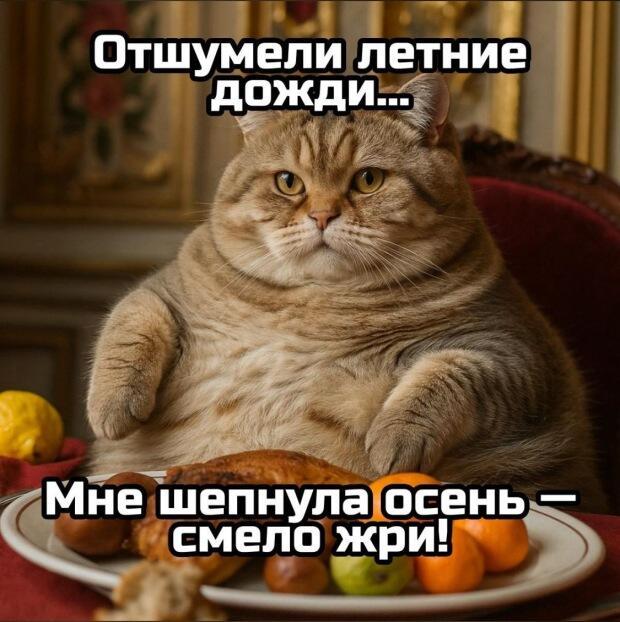 Отшумели летние дожди