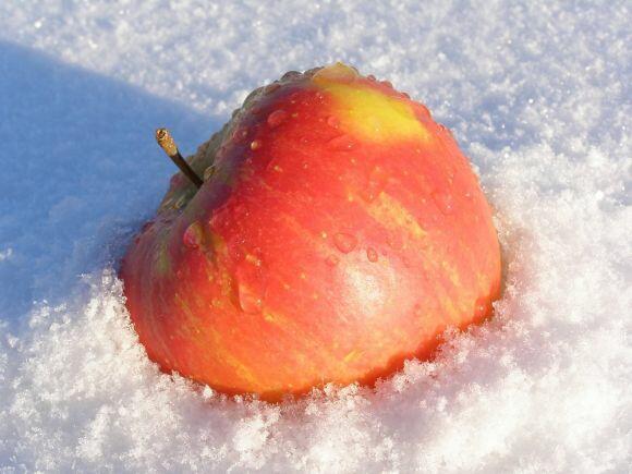 Авитаминоз