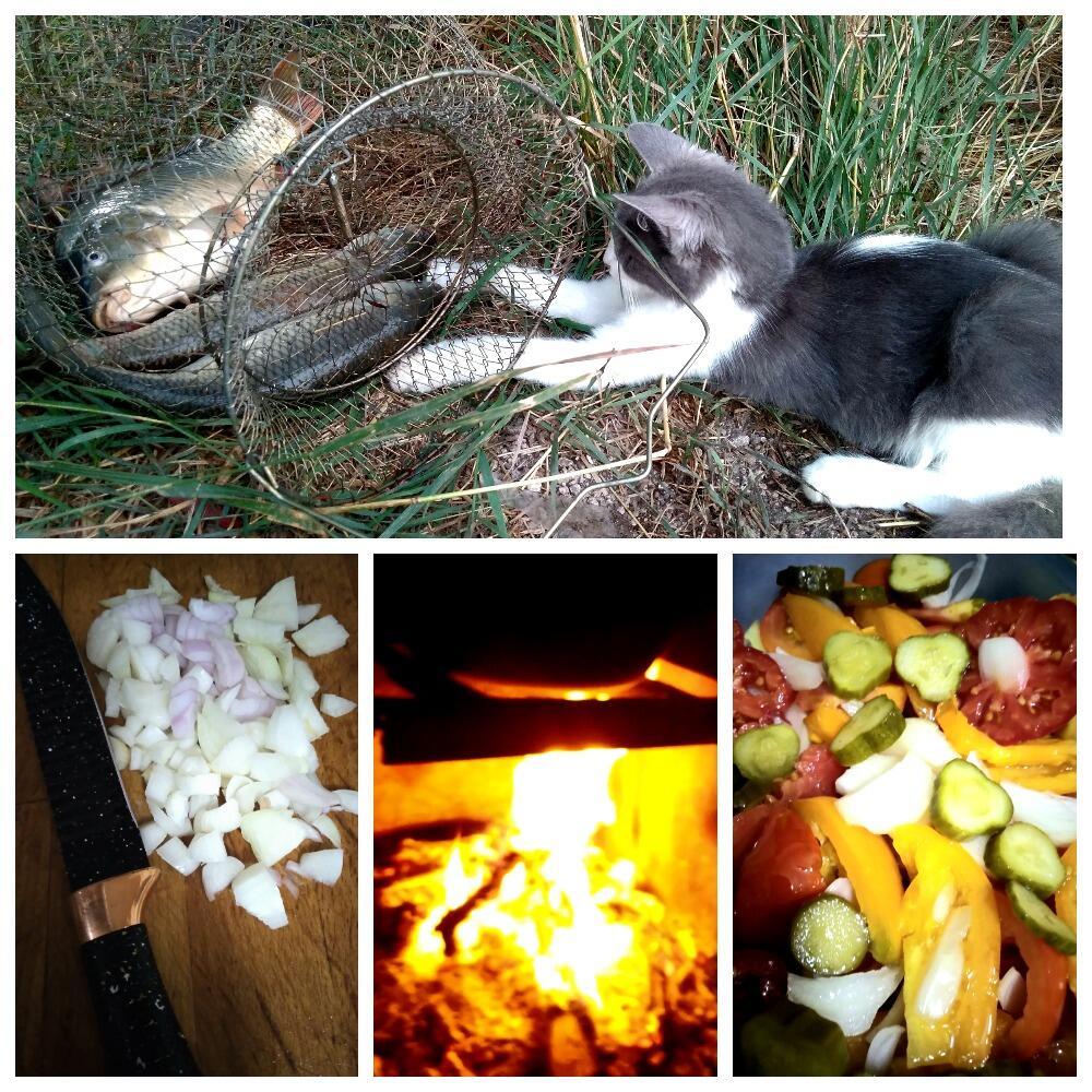 Приглашаем на уху!