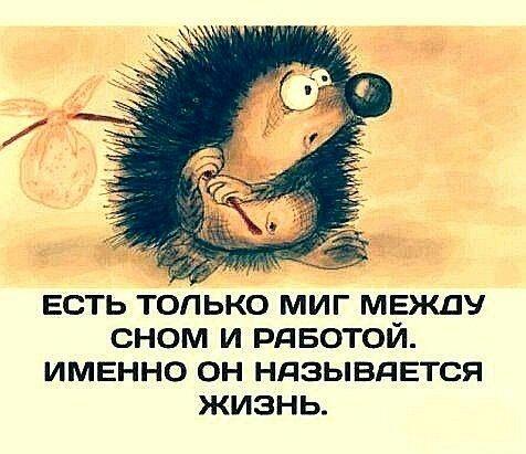 Иди на Федота...