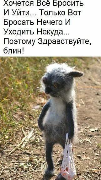 Здравствуйте, блин!