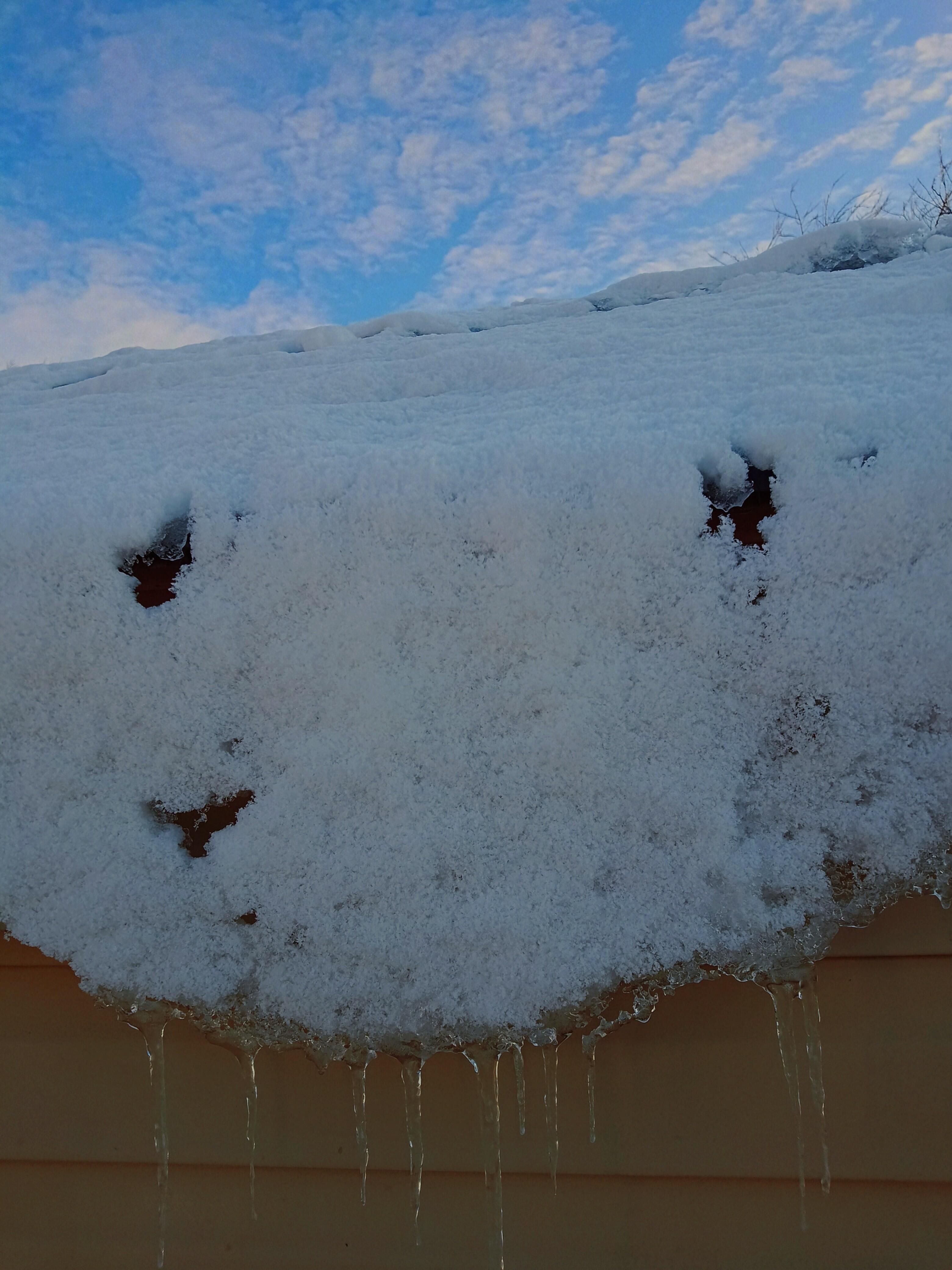 Январь-художник