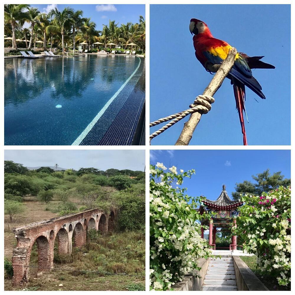 ЯМАЙСКИЕ ЗАРИСОВКИ (ОТРЫВКИ ИЗ ПИСЕМ РАЗНЫМ ЛЮДЯМ) 22