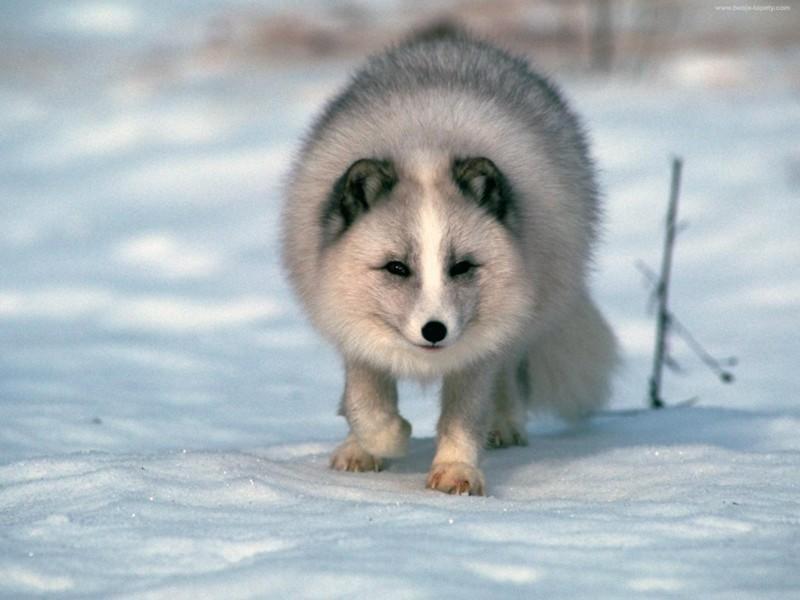 О перспективах)