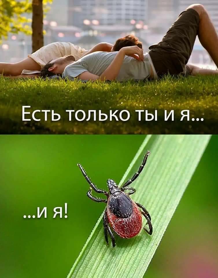 Лучшие друзья парикмахеров