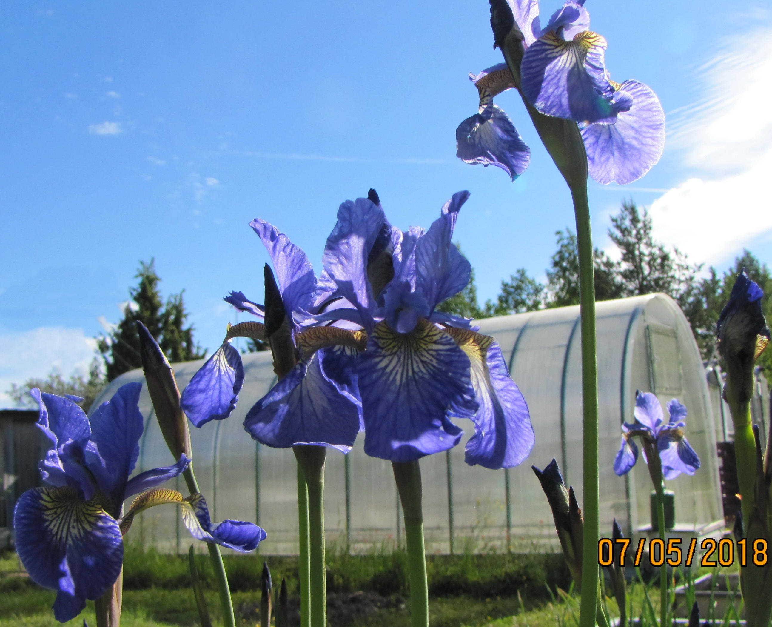 "А БЫЛ ЛИ МАЛЬЧИК...?"