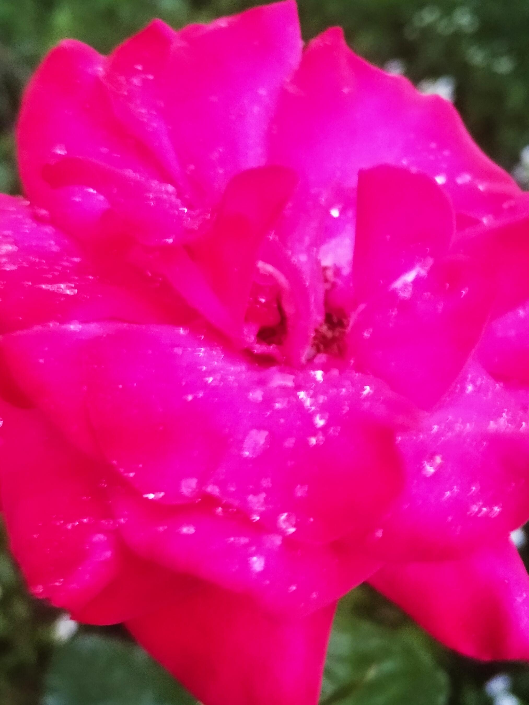 Вздох облегчения