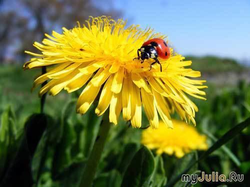 Без пафоса и лжи.(Отец.)