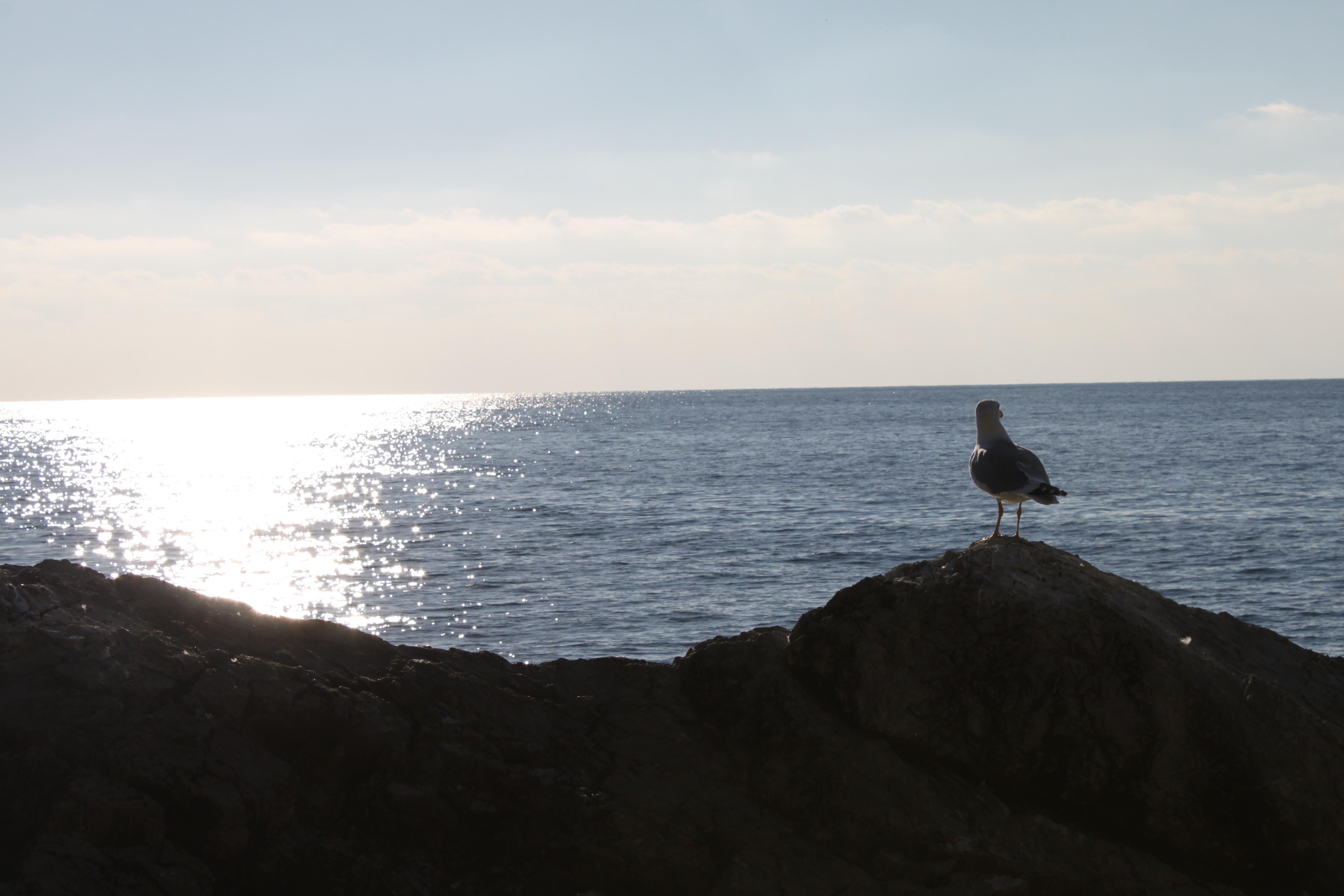блестеющего блёстками черноватого-иссиня моря с тёплыми, ласкающими руки, горами