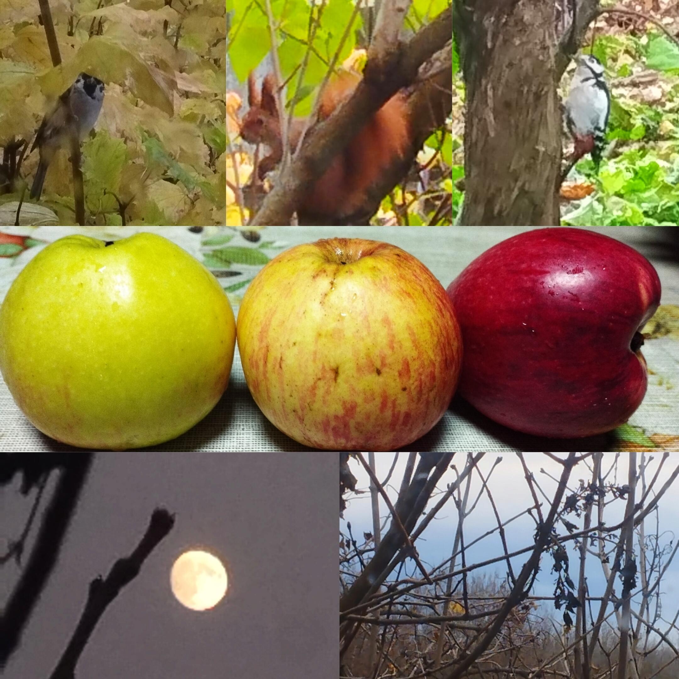 Пока не меркнет свет и не горит свеча..