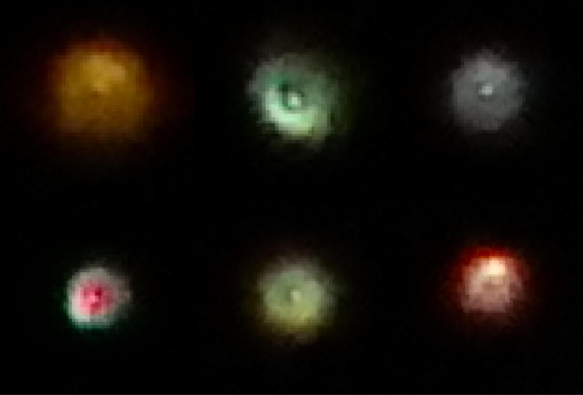 глазами Капеллы