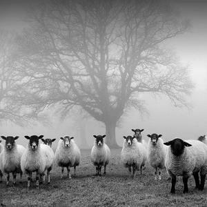 Милейшей души человек