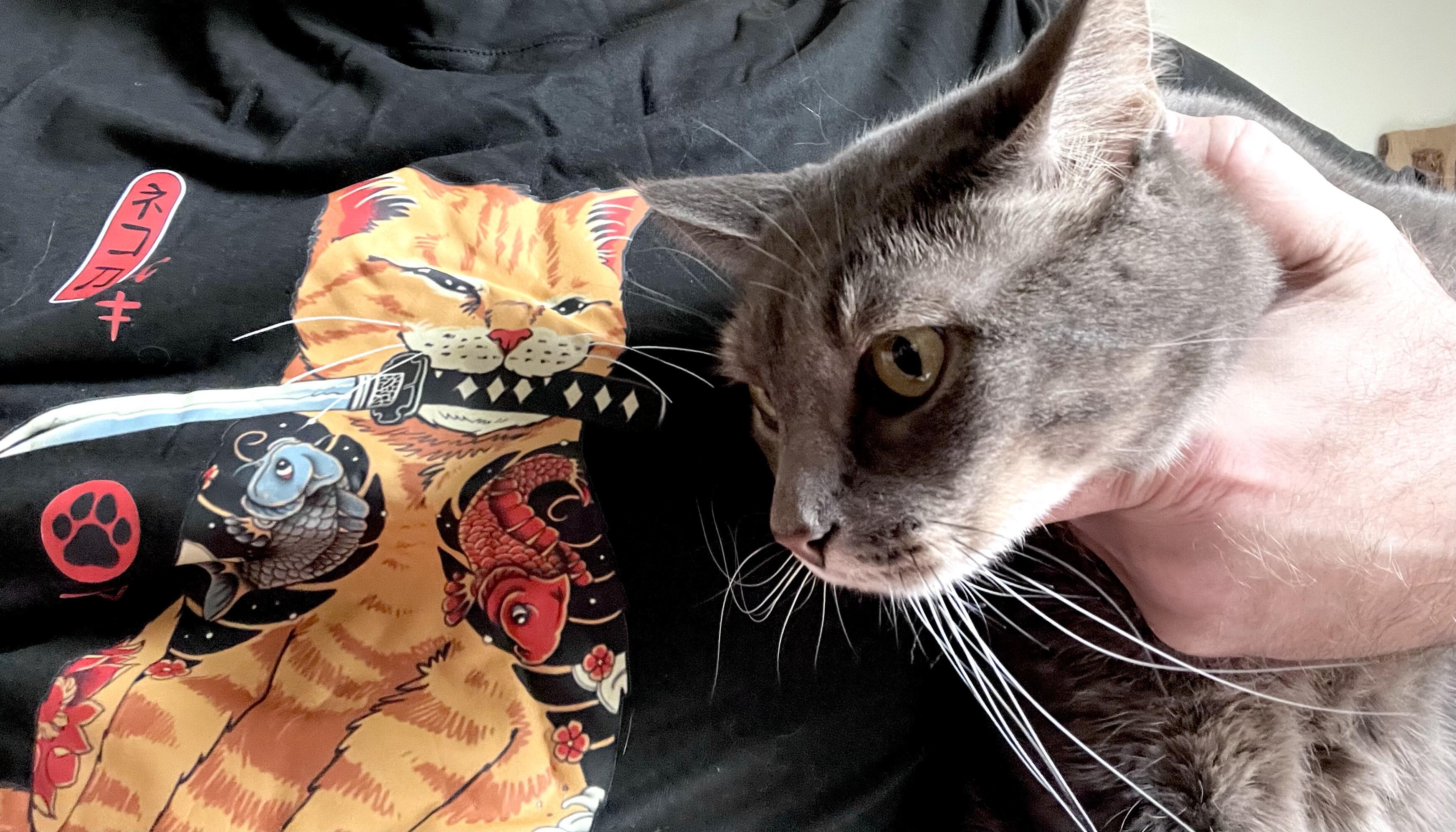 И снова про «Как вы яхту назовете…»