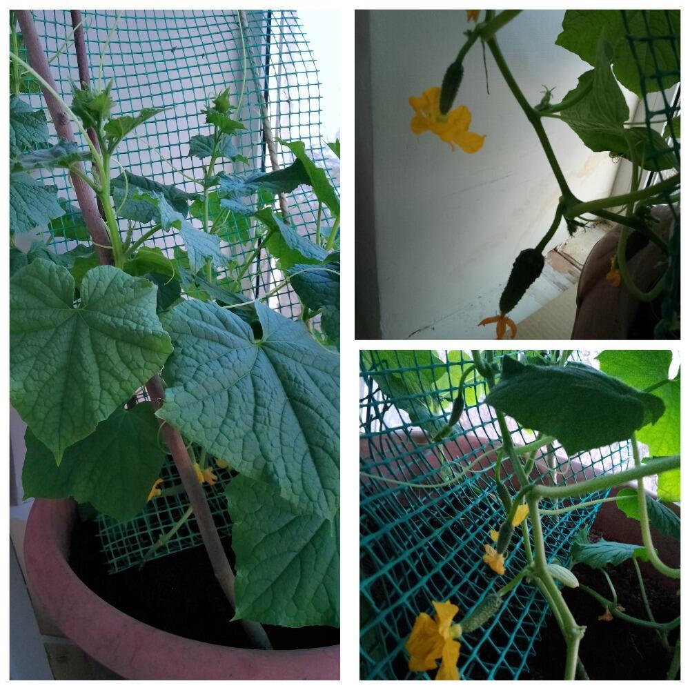 День третий. Прибавление