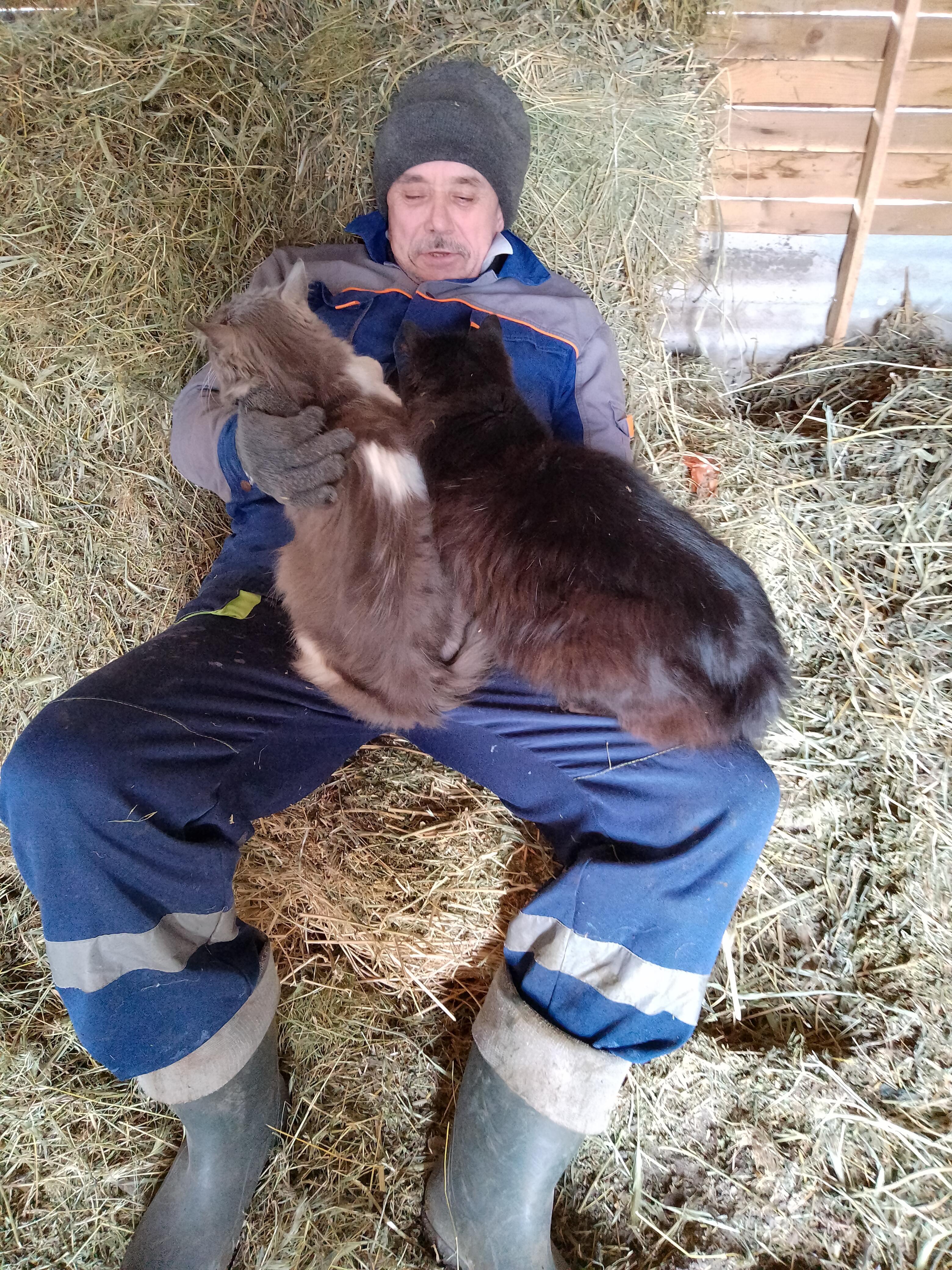 Спят такие славные