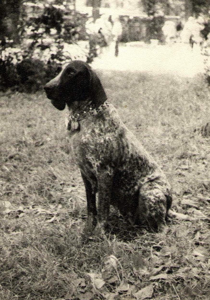 В память о брате. Рассказ "Заботливый член семьи"
