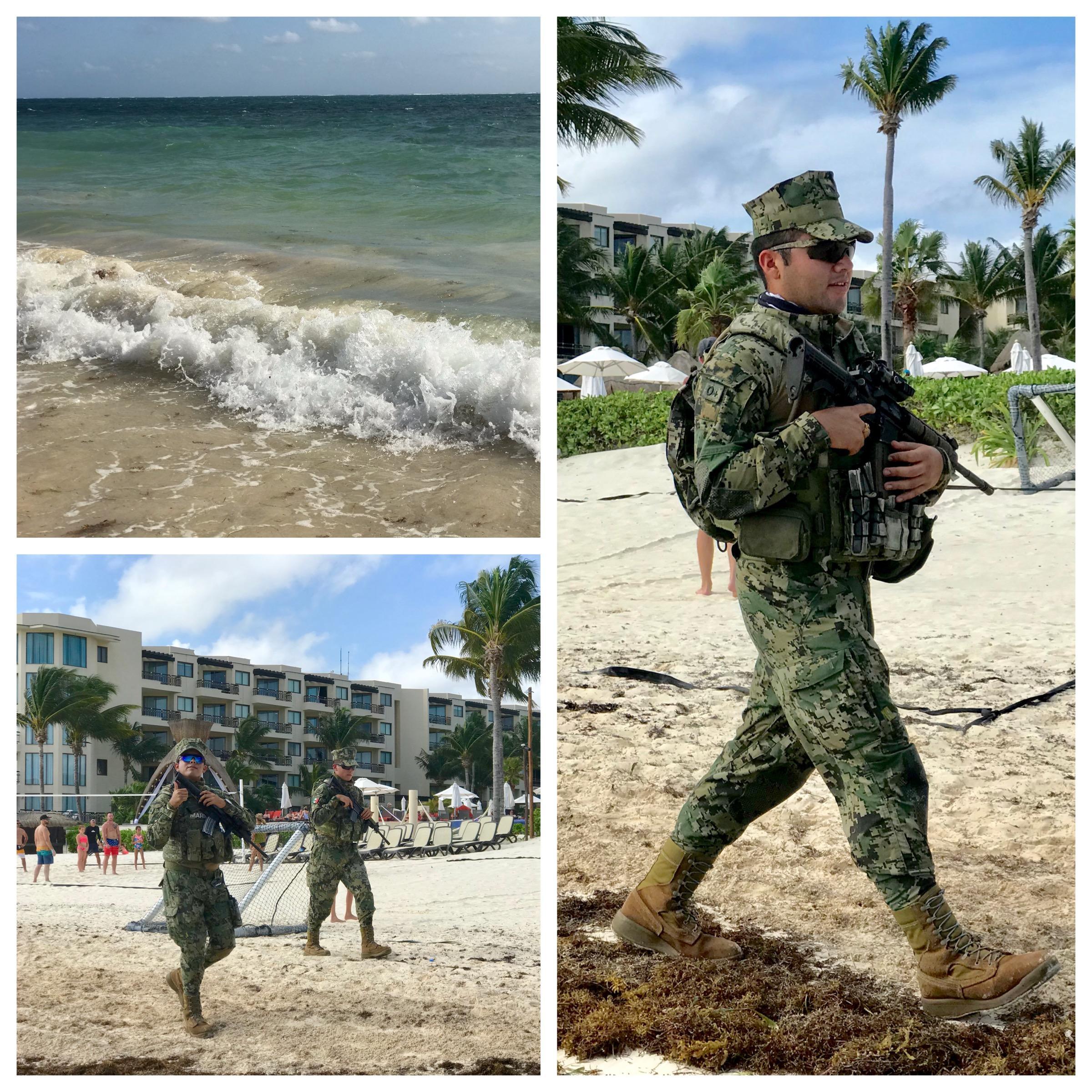 В свете ж вот какое диво: