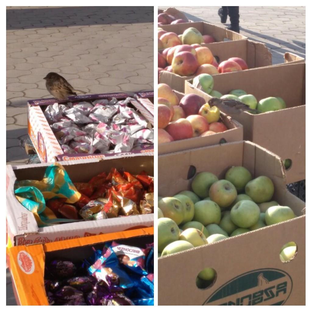 Жизнь пернатая, базарная