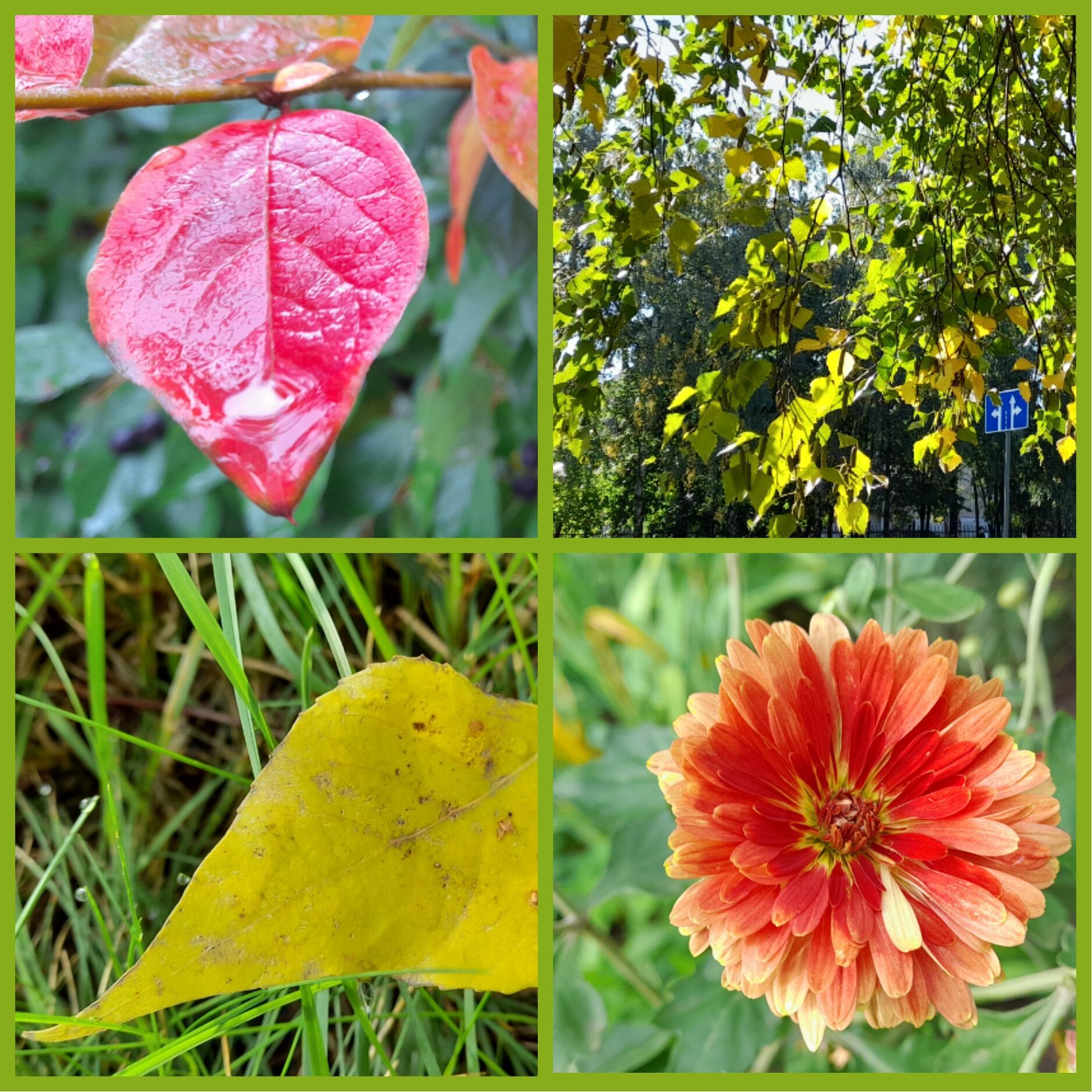 В непроглядном