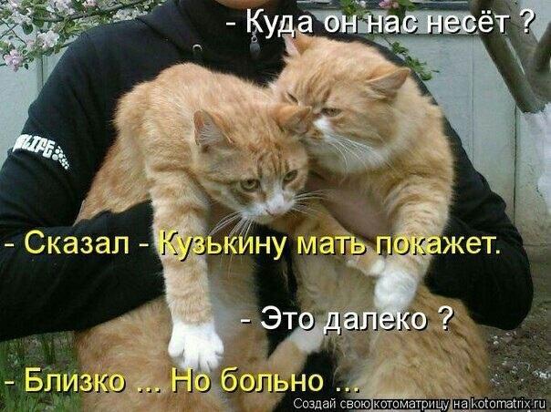 Бессонная ночь