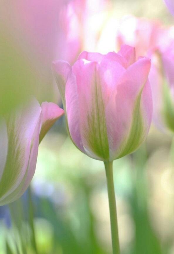 И мой день тоже)