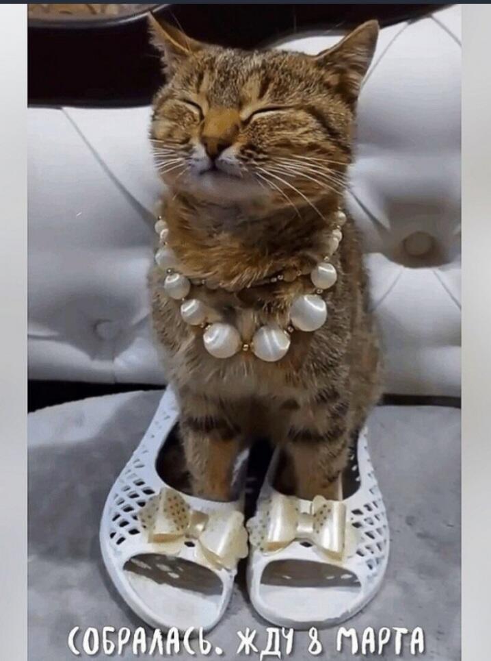 С праздником