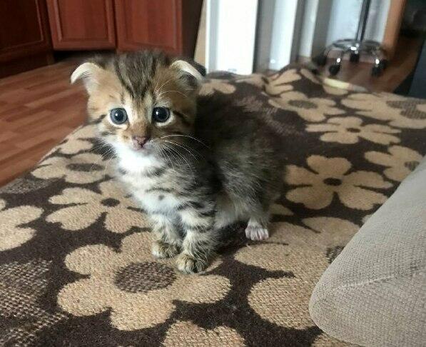 Один на один с монстром...