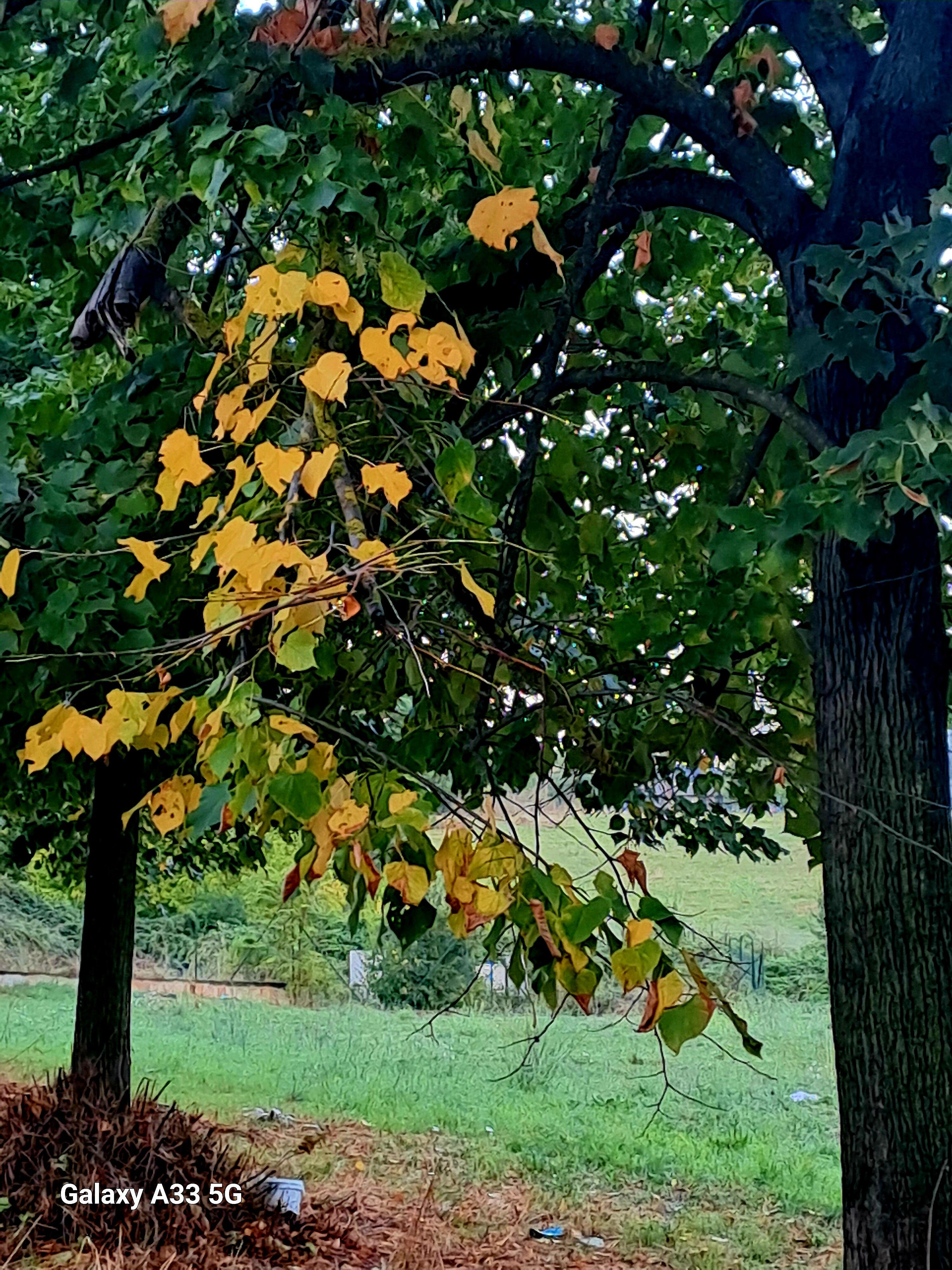 Мир умеет удивлять